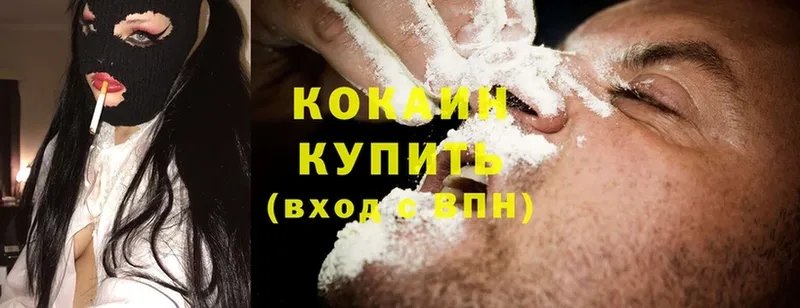 Cocaine Эквадор  Новое Девяткино 